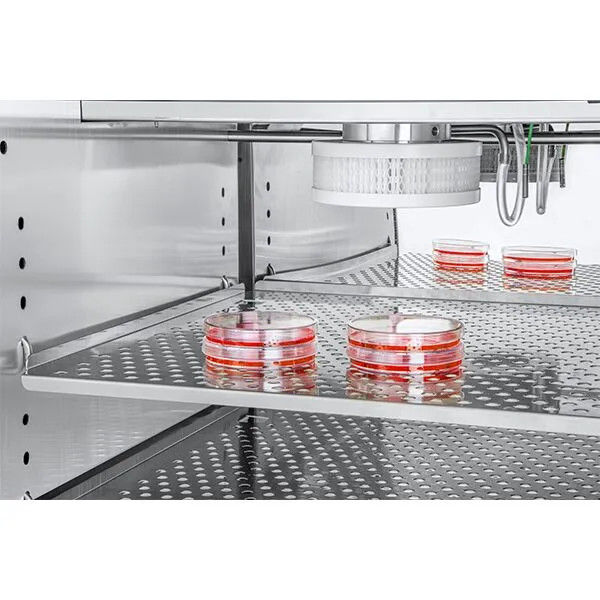 RWD D180 CO2 Incubator